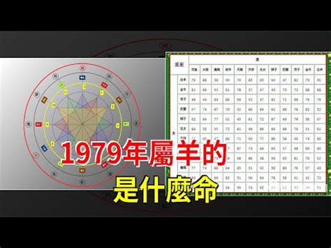 1979年五行屬什麼|1979 年出生属什么生肖